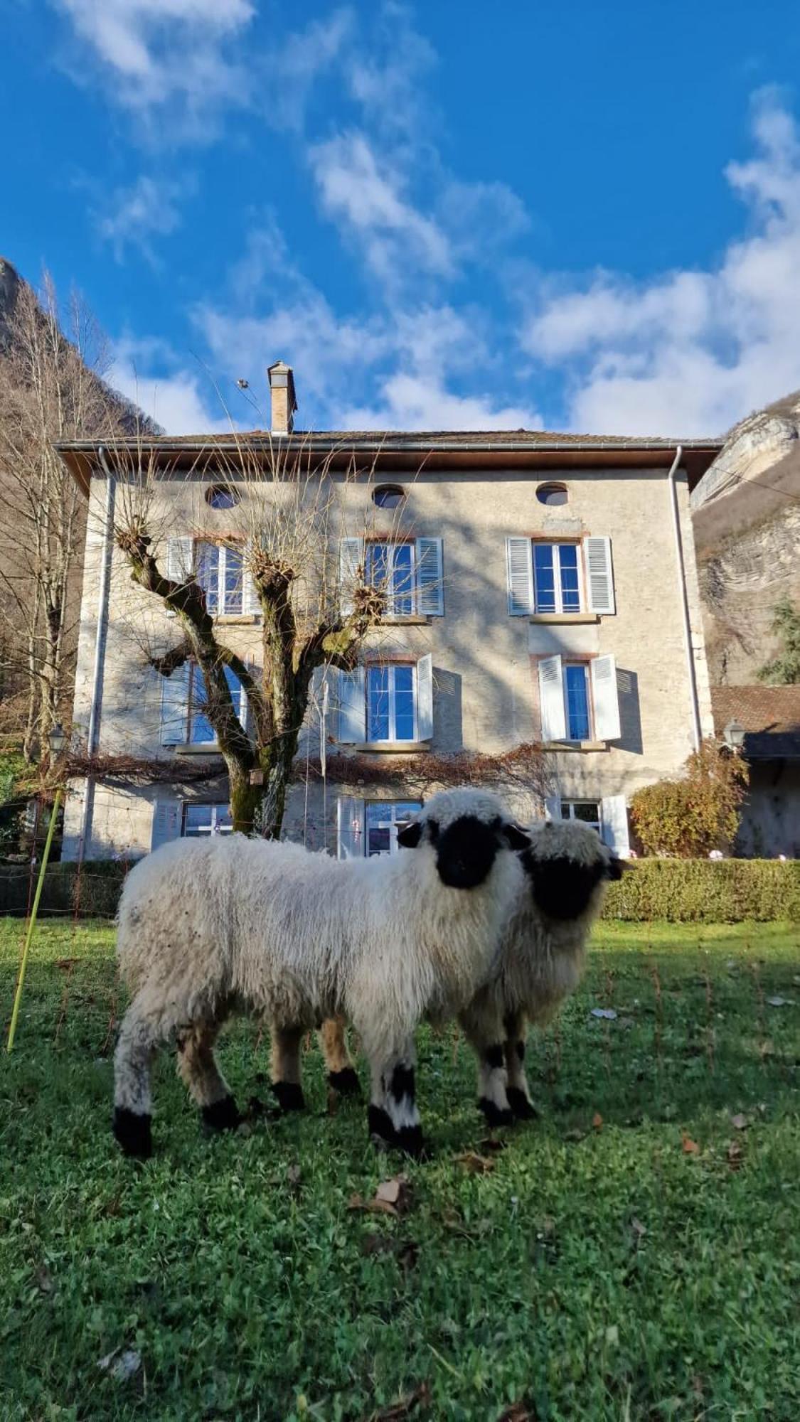 Chateau Monts Blancs Lumbin Εξωτερικό φωτογραφία